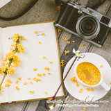 Full Set of Magical Wands Dessert Spoons