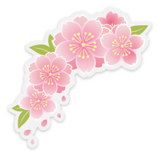 Cherry Blossom | Sticker